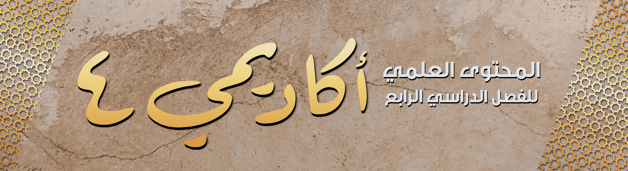 أكاديمي4